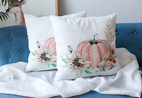 Angel's Pride - Juego de 2 Fundas de cojín de Terciopelo sin Relleno, Decorativas, con Cremallera Oculta y decoración otoñal, Pumpkin-Sunflower, 45 x 45 cm