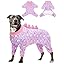 Unicorn style#2