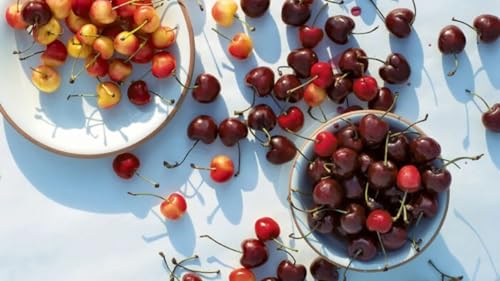 Image of Barbados Sweet Cherry Live Fruit Plant for Home Garden | Dwarf Fruit Plant for Pots | Easy Growing Cherry Plant for Balcony, Terrace, Outdoor & Indoor Sunlight | Fast Growing Fruit Tree