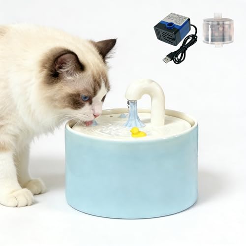 HMRCYTE Blue Ceramic Pet Fountain