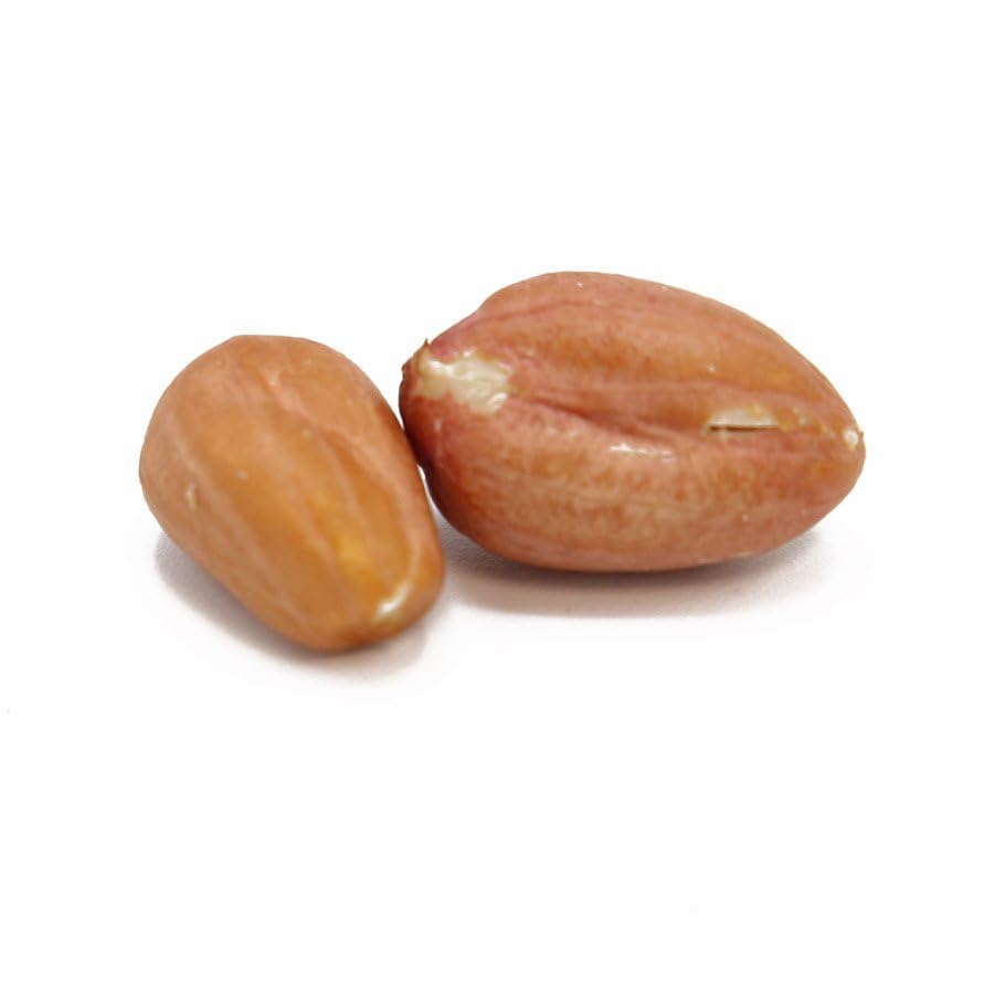 C.J. Dannemiller Spanish Peanuts, Bulk 10 LB Box, Shelled, Roasted & Salted Peanuts Great For Snacking, Trail Mix