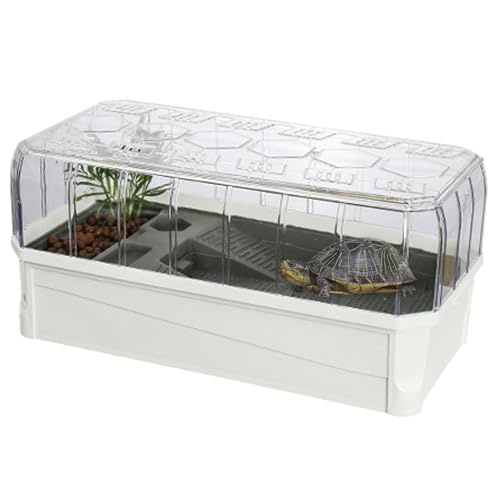 Tanque de hábitat de Tortugas | Tanque para Tortugas con Filtro | Tanque de con Filtro, Tanque de brasileño, Tanque de filtrado, Acuario de con Filtro, Uso par
