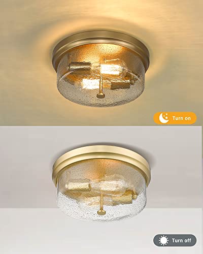 Caldion Close To Ceiling Light Fixtures, 12Inch Flush Mount Ceiling Light, Metal Gold Finish With Handmade Seeded Smoky Glass Shade,6872Fm-Gd-Smoky #TOP3