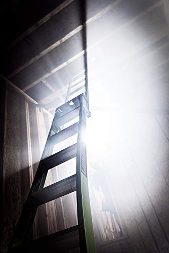 Little Giant Ladders, King Kombo, Technical, 8 Ft. A Frame, 14 Ft. Extension, Ground Cue, V-bar, Sure Set Feet, Fiberglass, Type 1AA, 375 lbs weight rating, (13814-074)