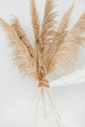 Mimi&Tone - Pampasgras groß 3 er Pack XXL - Pampasgras getrocknet 120 cm Boho Zimmer Deko, Wohnzimmer Badezimmer Trockenblumen Dekoration modern (Braun XXL 3 er Pack) Cover