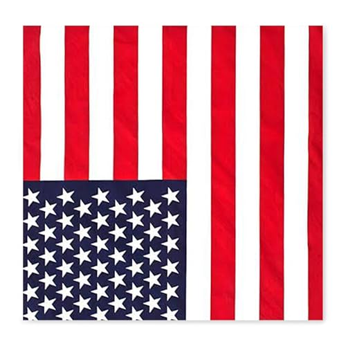 WedDecor Bandana pour homme et femme en coton unisexe large bandeau drapeau américain accessoire de mode pour l'équitation, la moto, la randonnée, la...