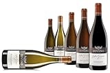 DIVINO Großes Gewächs Premiumwein Probierpaket - Chardonnay, Sauvignon Blanc, Spätburgunder, Pinot Noir Rosé, Silvaner, Weißer Burgunder - Qualitätsweine direkt aus den Weinbergen Frankens (6 x 0,75l)