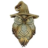 Composition : Résine SIGNES GRIMALT Décoration Murale Hibou en Habit de sorcière, Chapeau Pointu et Composition résine, Hauteur 23 cm