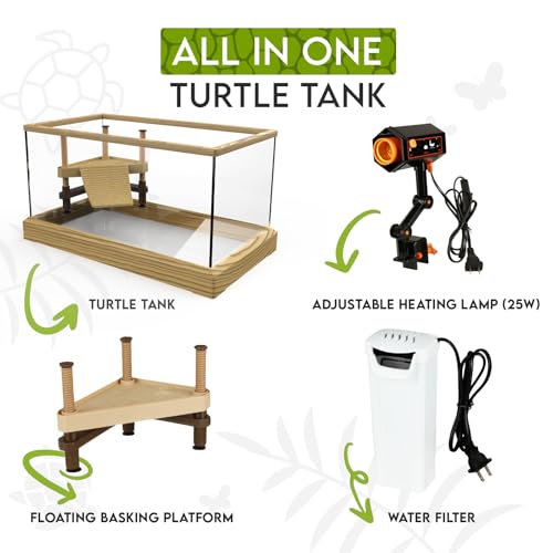Kit démarrage tortue aquatique complet pour accueillir un bébé reptile