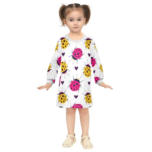 Ladybugs Hearts Girls Dresses Long Sleeve Sweatshirt Dress for Girls Winter Toddler Casual A Line Dresses Size 2-8T4