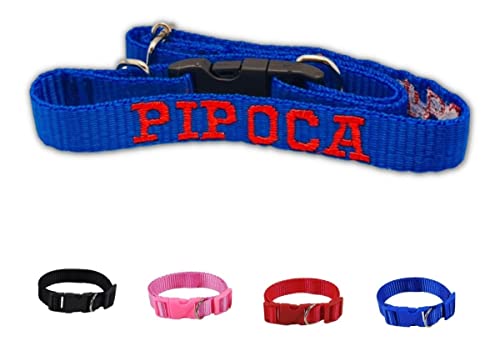 Coleira Cachorro Bordada Com Identificação Pet (20-45cm, Azul)