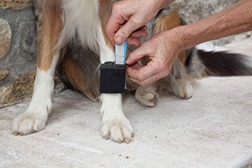 Nature Pet Hund Gewichtsmanschette & Therapiebandage – Muskelaufbau, Reha & Physiotherapie für Hunde | Wasserfest, verstellbar & für Unterwasserlaufband geeignet (XL)