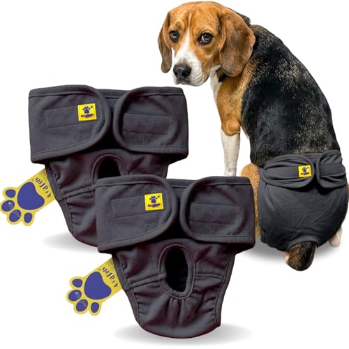 Image of A+a Pets' Cotton Dog Diapers | Stretchable Comfortable Washable and Reusable (Grey Combo, M)