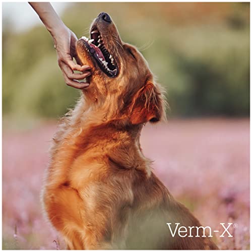 Verm-X Leckerchen für Hunde