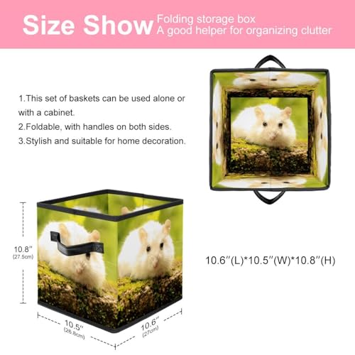 Placard encombré ? Découvrez notre boîte de rangement pliable blanche - 3