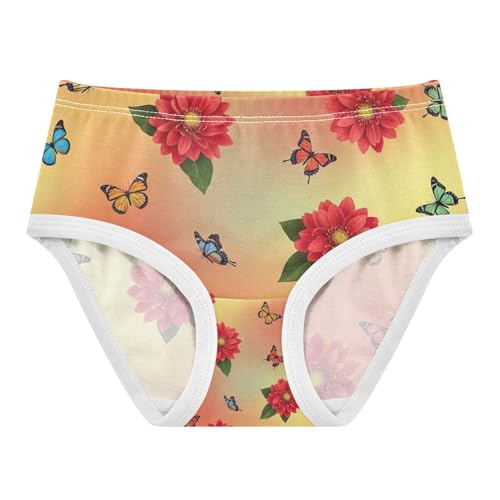 Toddler Girl Briefs, Flowers Butterflies Gradient Cotton Underwear for Girls, 2T–8 Years