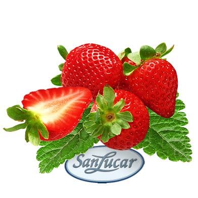Sanlucar Fresh Strawberry 250g Tunisia/Germany