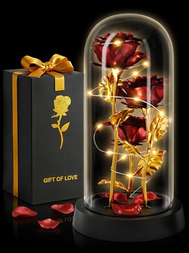 KETAR Rose in Glass Dome with LED Lights Battery Powered Gift Box (Red)