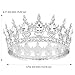 TOBATOBA Silver Queen Crowns for Women - Rhinestone Princess Wedding Birthday Tiara, corona para pastel Silver Crown Cake Topper, Hair Accessories for Costume Birthday Party Prom Pageant Halloween