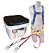 DBI/SALA 2199806 Protecta PRO Compliance-In-A-Can Light Roofer