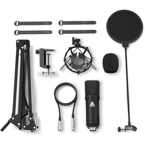 Image of Audio Array Mic | Podcast Mic XLR Condenser Microphone Kit with Boom Arm | Pop Filter | Shock Mount & 2M Cable | Cardioid Recording Microphone for Streaming | Podcasting & Home Studio | AM-C2