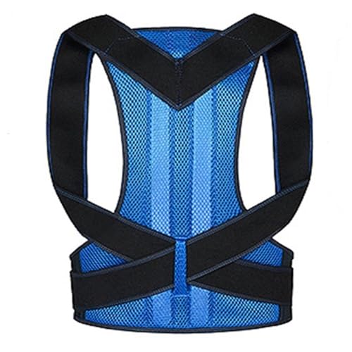 傫TCY XS-5XL pxg wpu[X jp wS̃T|[gxg EET|[g wxg ŃT|[g Ɋɘa(Blue,XXL)