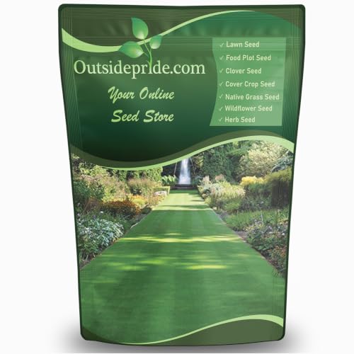 Outsidepride Legacy Fine Fescue Grass Seed Mix - 5 lbs. Pere...