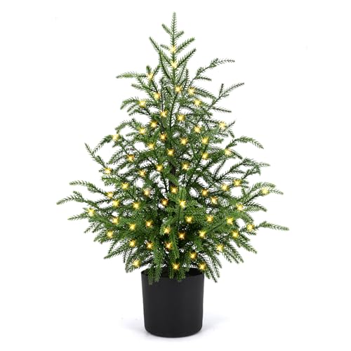 ENVEN 2FT Pre-Lit Artificial Norfolk Pine Christmas Tree – Tabletop Faux Tree with 50 LED Lights &...