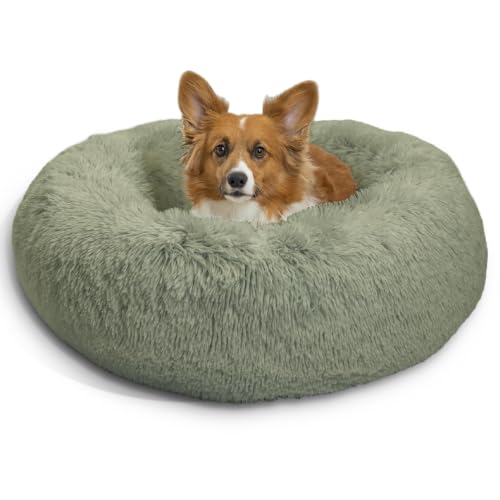 Image of Best Friends by Sheri The Original Calming Donut Dog Bed for Medium Dogs up to 45 lbs, Shag Faux Fur, Sage Green, 30 inch x 30 inch