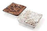 David's Cookies Classic Chocolate Chip Brownie And Crumb Cake Dessert Tray - Fresh Bake, Soft, Chewy, And Delicious Brownies - Great For Sharing At Parties, Events, Or With Family And Friends (26 Oz Each)