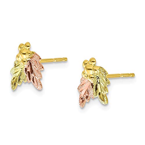 10K Tri-Color Gold Black Hills Gold Post Earrings3