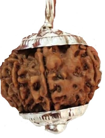 BluDiamond 11 Faced Rudraksha Pendent Brown 11 Mukhi Nepal Rudraksha Beads 11 मुखी रुद्राक्ष लैब सर्टिफिकेट Natural Gyarah Mukhi Rudraksha Real Eleven Mukhi Rudraksha for Japa Puja ग्यारह मुखी रुद्राक्ष Prayer Beeds Blessing Lord Hanuman-image-8