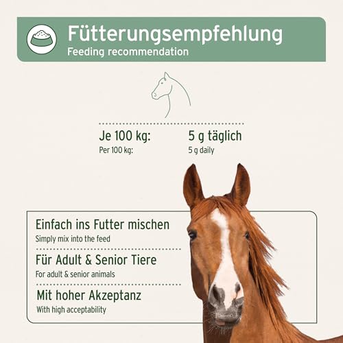 AniForte Afrikanische Teufelskralle für Pferde 1 kg – Natürliches Gelenkpulver für Pferde, Teufelskrallepulver für Gelenke, Sehnen & Bänder, für Agilität