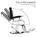 Artist hand Barber Chair Reclining Hydraulic Barber Chairs Heavy Duty Styling Chairs for Salon Chair Tattoo Chair Beauty Equipment (Black)
