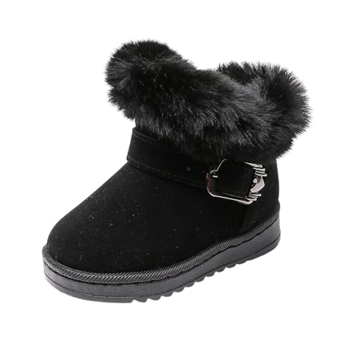 [gu[c LbY u[c xr[ ~ V[gu[c {A q C ̎q j̎q h  L g V[Y h h ۉ  ₷ ~ ӂӂ y  V ʊw ʉ jp(ubN,17.5 c