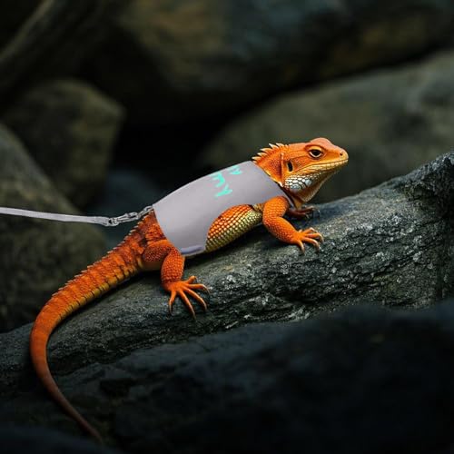 Image of Bearded Dragon Leash and Harness Set, Bearded Dragon Clothes for Lizards Harness Bearded Dragon Accessories for Tank, Cool Stuff for Bearded Dragons Kit Leopard Gecko Leash Bearded Dragon Costume