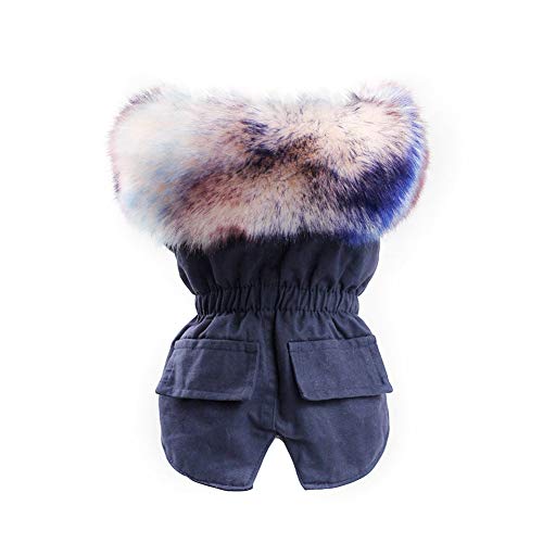Daxin Warm Winter Dog Clothes Luxury Fur Dog Coat Hoodies for Small Medium Dog,Windproof Pet Clothing Fleece Lined Puppy Jacket