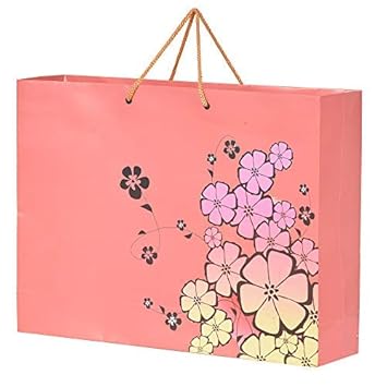 Beautiful carry bags Clearance