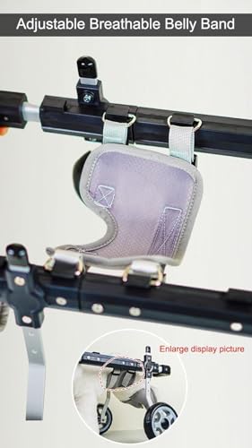 Fauteuil roulant pour chiens de moyenne taille idéal pour la promenade