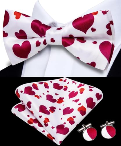 Image of Dubulle Mens Paisley Striped Bowtie Set Pre-tied Bowtie for Men and Pocket Square Set Wedding Business