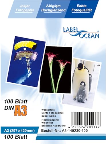 Papier Photo A3 230g Brillant Supérieur Haute Fidélité Couleurs