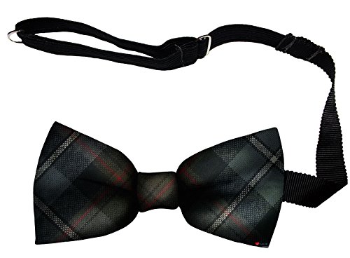 Noeud papillon en laine d'Écosse MacRae Hunting, idée cadeau homme élégant