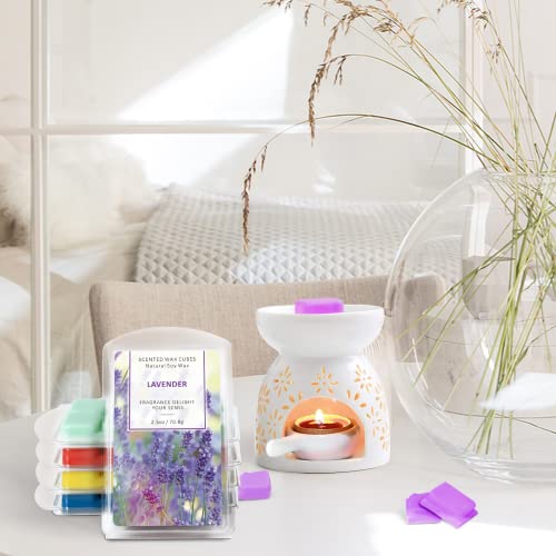 SCENTORINI Wax Melts Wax Cubes, Scented Wax Melts for Wax Warmer, Sea Breeze, Lavender, Linen, Winds in Summer, Cherry, Espresso, Raspberry & Cinnamon, Blush Peony 8 x 2.5 oz