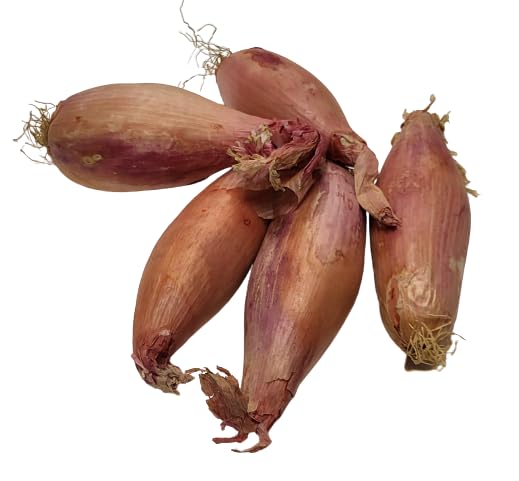 Echalion aussi connue sous le nom de cuisse de poulet - Vendu en filet de 500 g - Origine France - Cultivé dans le sud-ouest