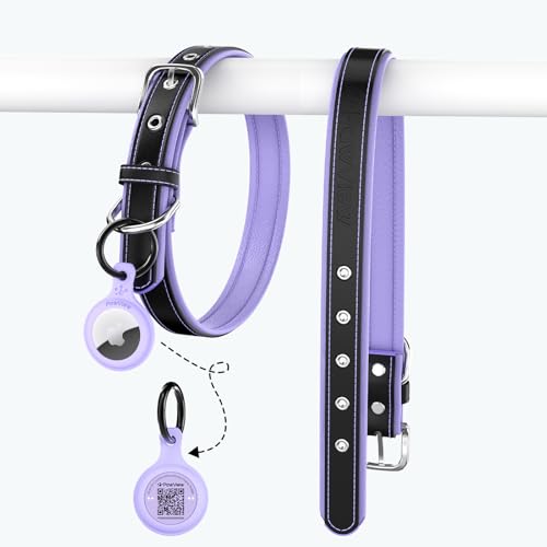 Collier pour chien réglable en cuir avec support AirTag adapté aux petits chiens
