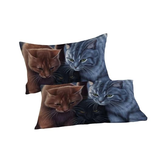 Housse de couette Chaton 3D Super King 260x220 en microfibre