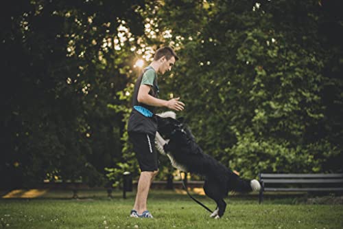 Dingo Hundespielzeug Schaf Pelz Naturfell mit Bungee-Griff Agility Apporte Motivation Spiel Zerrspielzeuge Training Grün Griff 15581