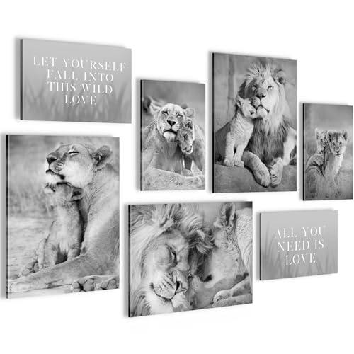 Novart Wandbilder Löwen Afrika Tiere - KOMPLETT AUFHÄNGFERTIG - Schwarz Weiss Wohnzimmer Schlafzimmer Flur - 7 Moderne Mood-Bilder - N036271b