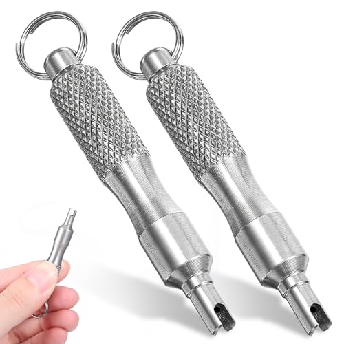 Bruislard 2 PCS Valve Core Removal Tool Keychain Stainless Steel Tire Valve Stem Tool Portable Valves Core Disassembly and Repair Tools for Bicycle Car Motorcycle Repair Install Accessory