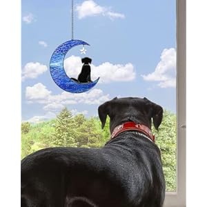   Dog-on-Moon-Suncatchers-Stained-Glass-Window-Hanging-Black-Dog-Ornament-Dog-Memorial-Gifts-for-Dog-Lovers-Stained-Glass-Dog-Decor-Suncatchers-for-Windows-Hanging-to-Remember-Loved-Dog